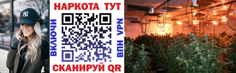 Купить наркотик аптеки Тында Кокаин Меф Галлюциногенные грибы Канабис ГАШИШ