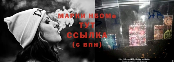 стаф Абаза
