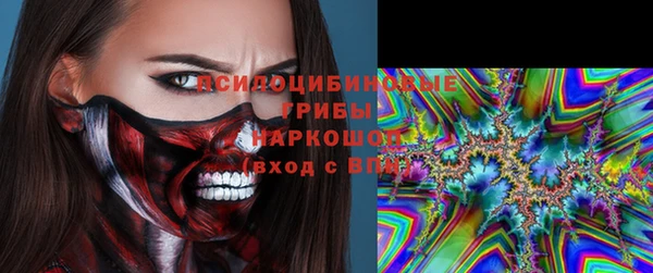 стаф Абаза