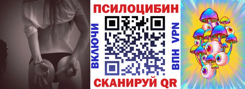 блэк спрут зеркало  Тында  Псилоцибиновые грибы Magic Shrooms 