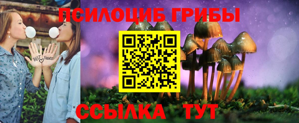 Псилоцибиновые грибы мицелий  Галлюциногенные грибы Magic Shrooms  Тында  Вход с VPN 
