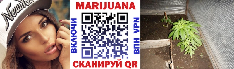 Шишки марихуана ГИДРОПОН Тында