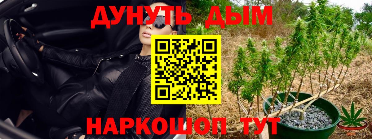 Тында  МАРИХУАНА индика  Марихуана White Widow  Вход с VPN 